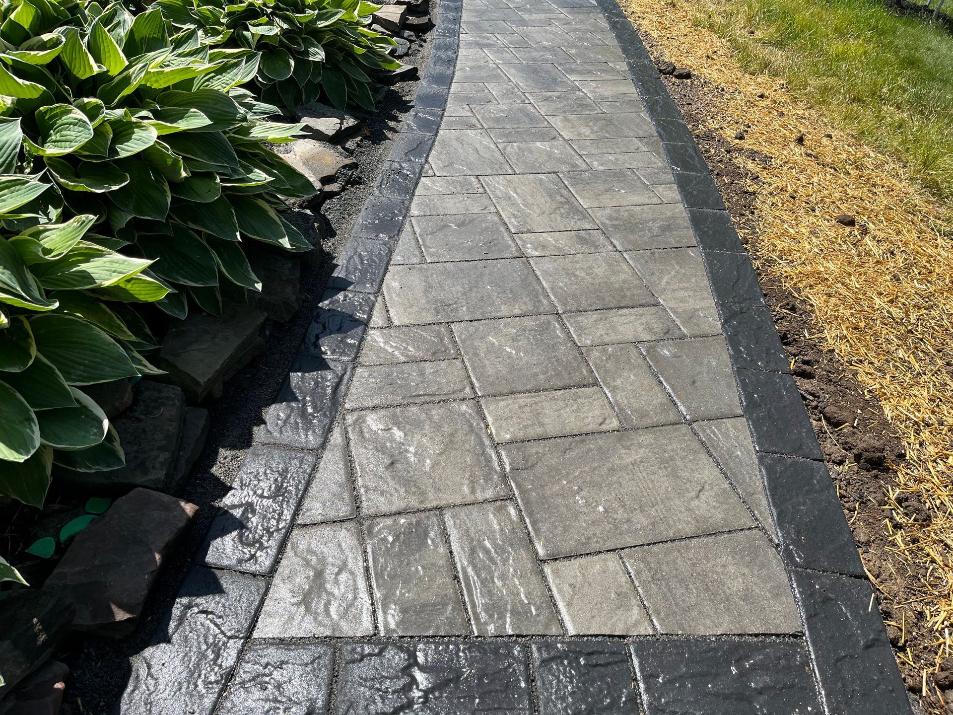 Stone paver walkway beside green shrubs and a dry grass verge