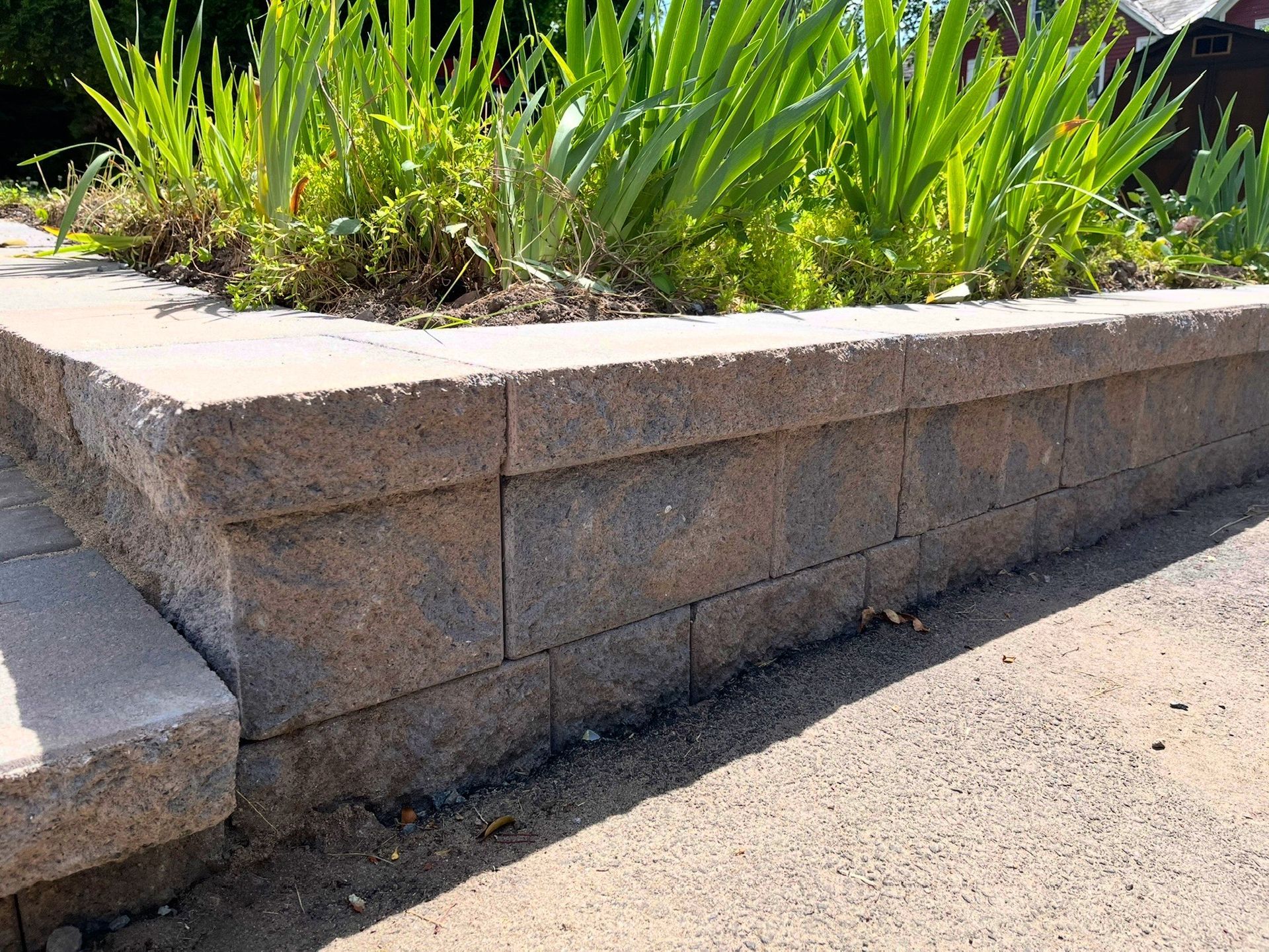 Stone planter wall with green plants along a paved walkway