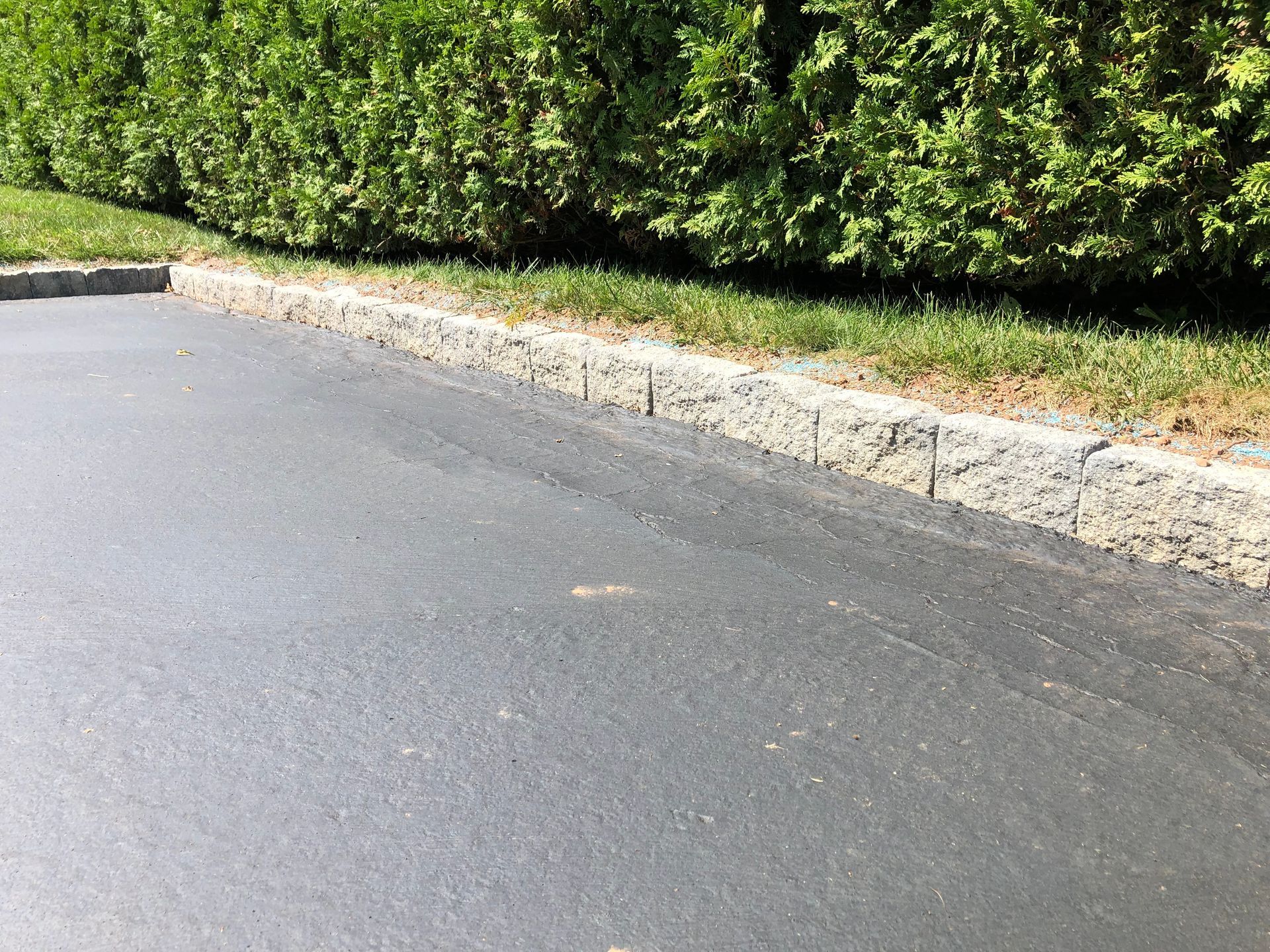 Empty asphalt road beside a curb and green hedges on a sunny day