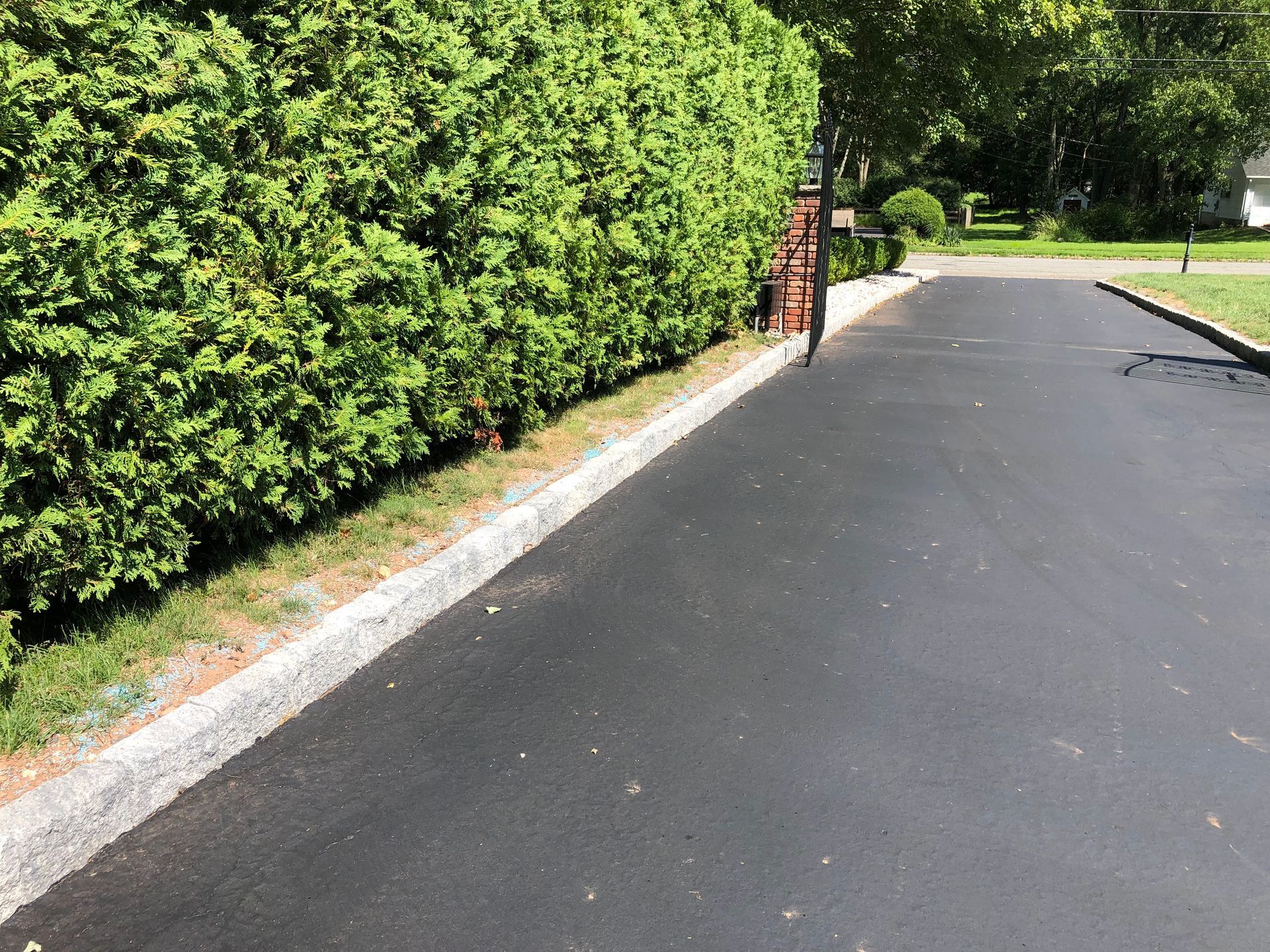 Paved path beside a tall green hedge in a sunny park