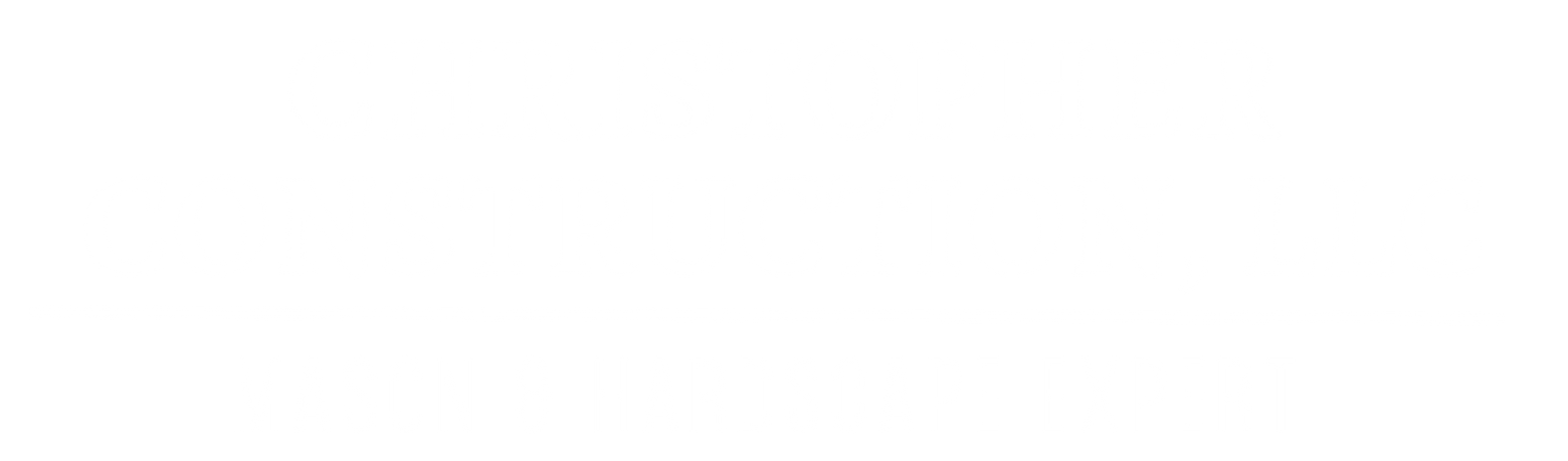 Mostly blank white image with a thin dark horizontal line near the top and a gray strip along the bottom