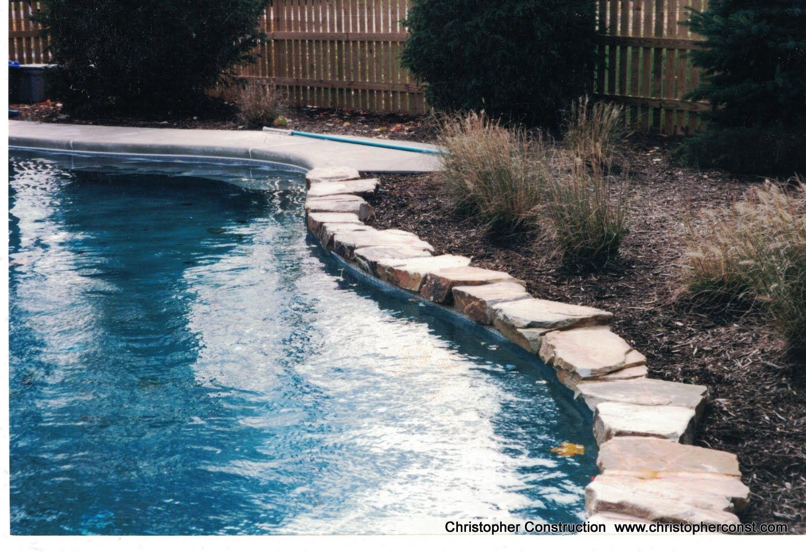 Curved backyard swimming pool with blue water, stone edge, and shrubs along the side