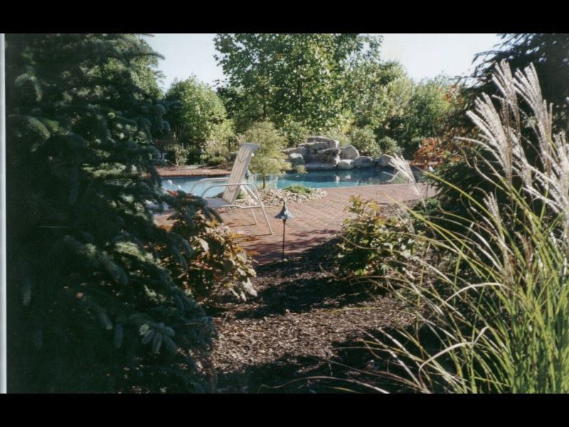 Backyard pool with lounge chairs, surrounded by trees and tall ornamental grass.