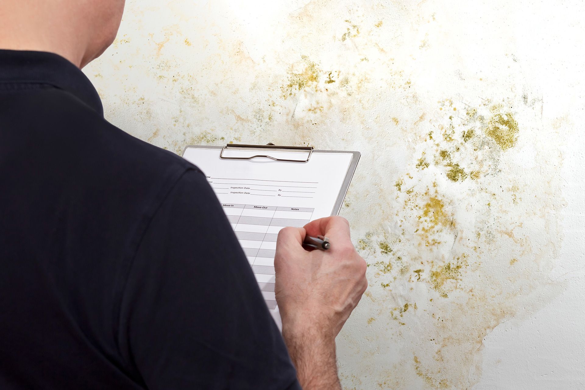 Commercial building mold inspection risks
