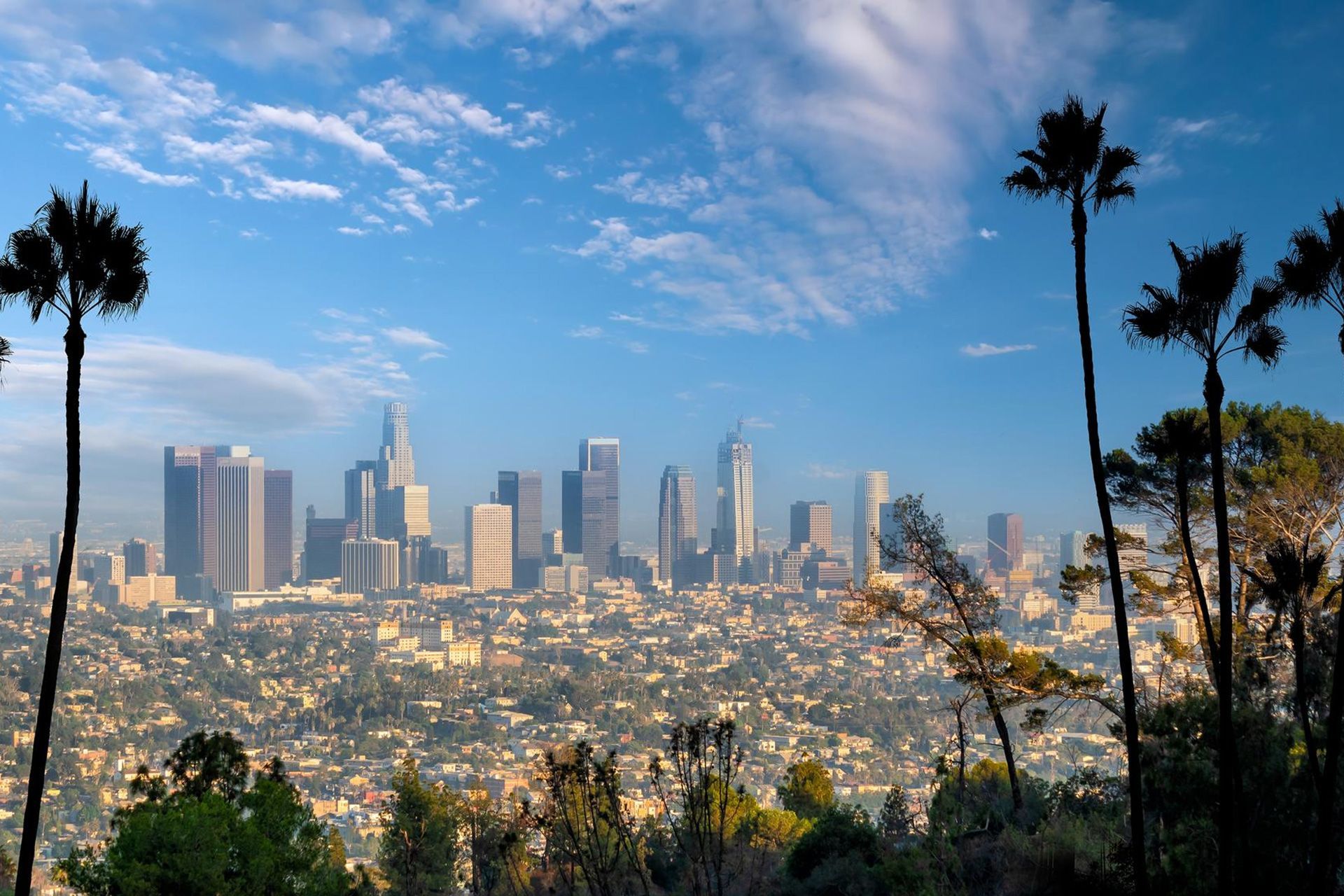 commercial environmental site review