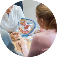 Doctor pointing at anatomical model, explaining to a patient and partner.