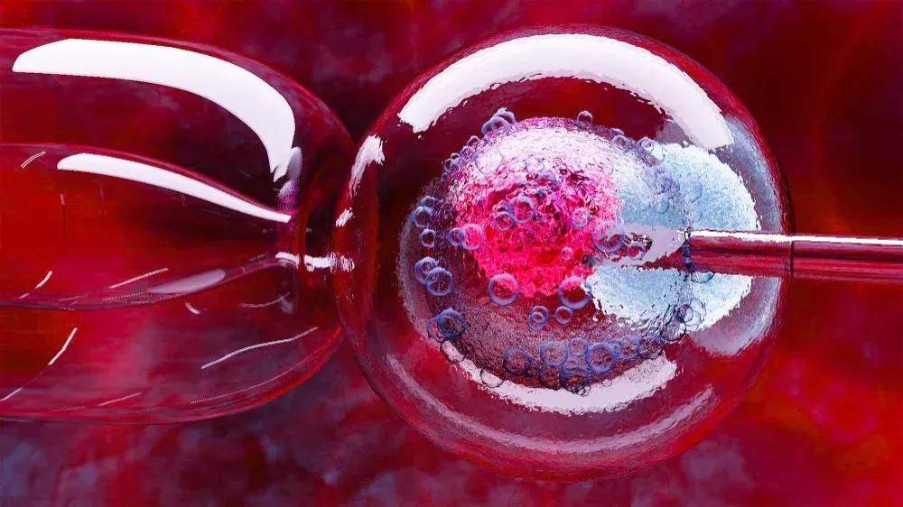 Egg freezing at fertility clinic