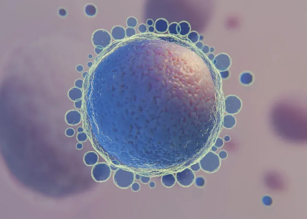Egg freezing at fertility clinic
