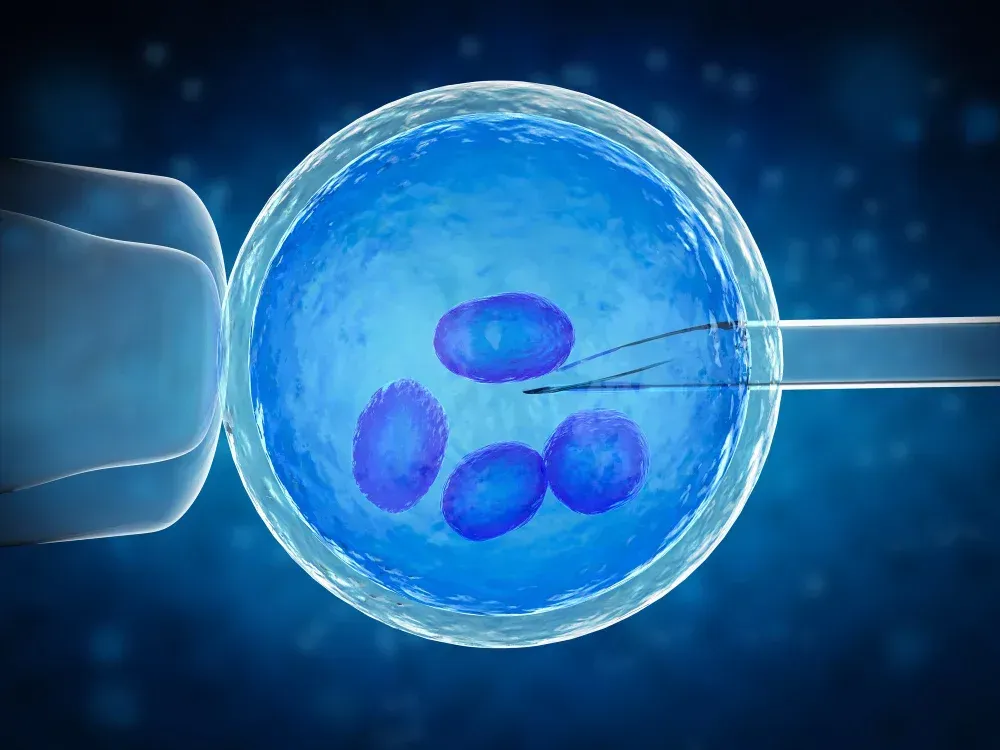 Pregnancy checkup with a fertility specialist after IVF treatment in Southlake at Precision IVF