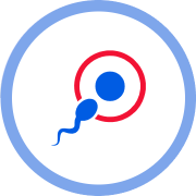 Sperm cell approaching a blue circle inside a red ring, symbolizing fertilization within a blue-bordered white circle.