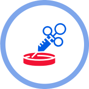 Syringe injecting a red petri dish, within a blue circle.