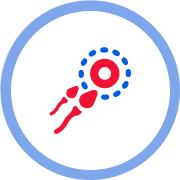 Red cell with blue dotted outline and two red cell projections, inside a blue circle.