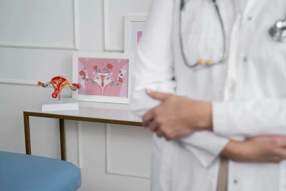 Two doctors in white coats, a model of the female reproductive system, and an illustration on a table in a medical office.