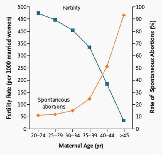 Graph showing fertility rates decreasing and spontaneous abortion rates increasing with maternal age.