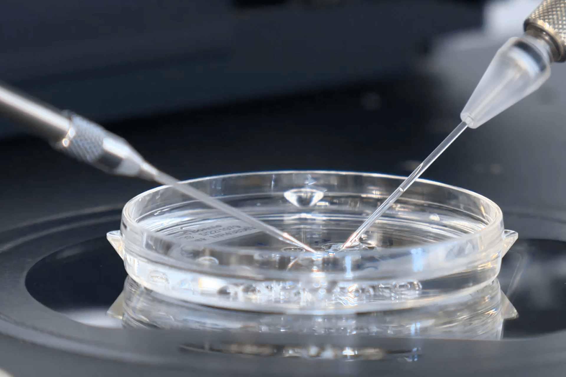 precision ivf injection