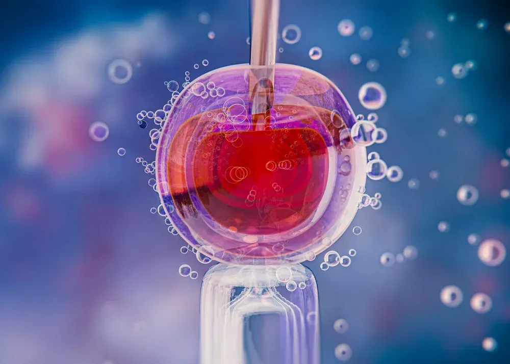Embryologist injecting sperm into an egg during IVF procedure