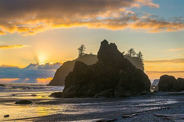 Sunbeams and Sunset - Silverdale, WA - Really Property