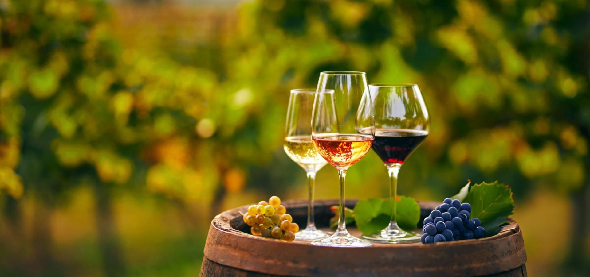 PORTLAND CHAUFFEUR WINE TOURS