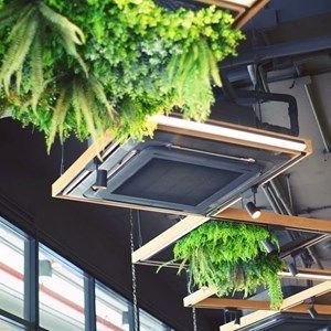 A ceiling with a lot of green plants hanging from it.
