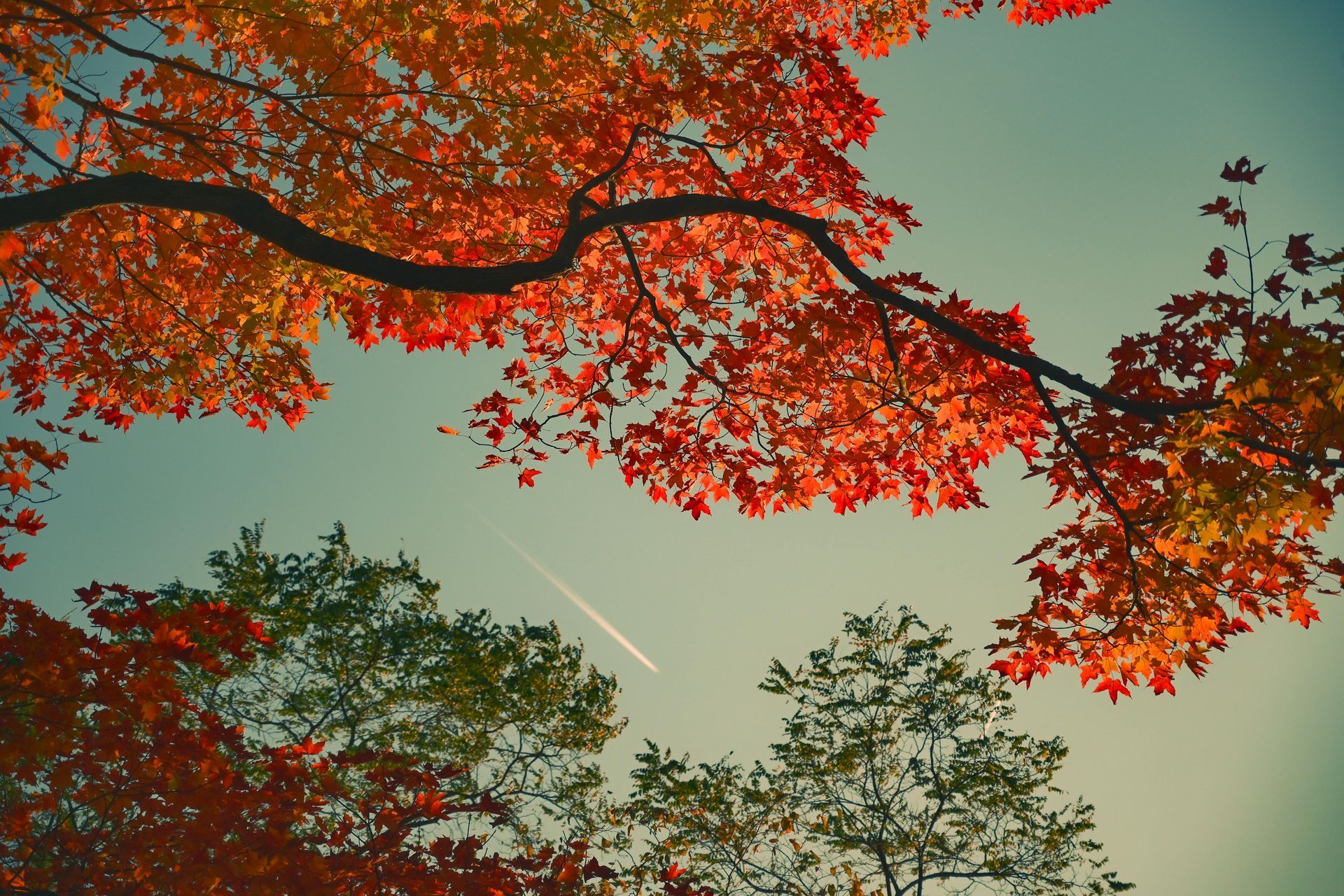 The gentle courage born in autumn