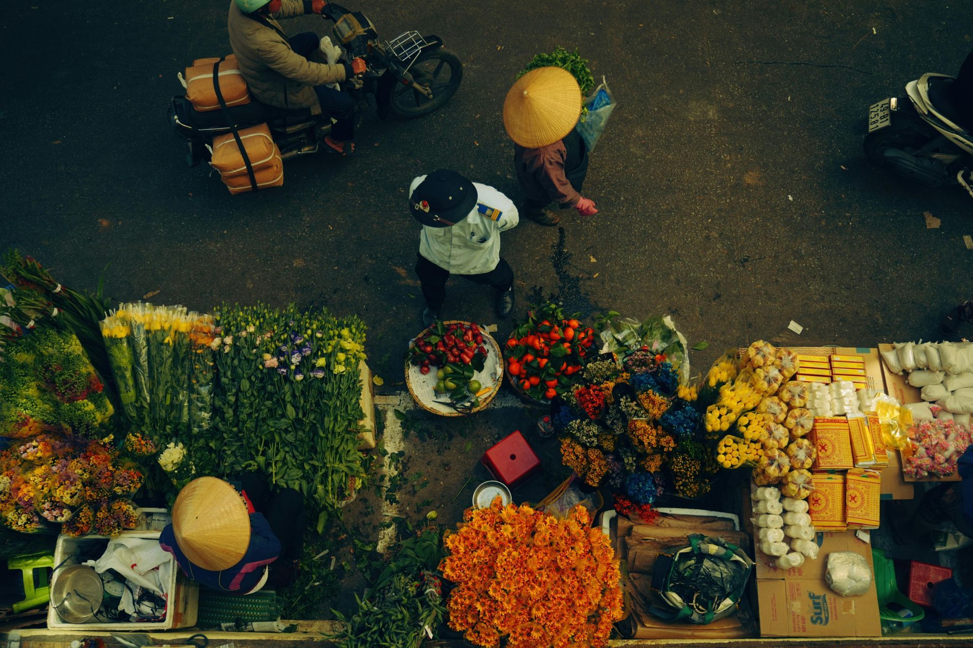Rainforest Explorers: Discovering New Worlds Amidst Tropical Aromas
