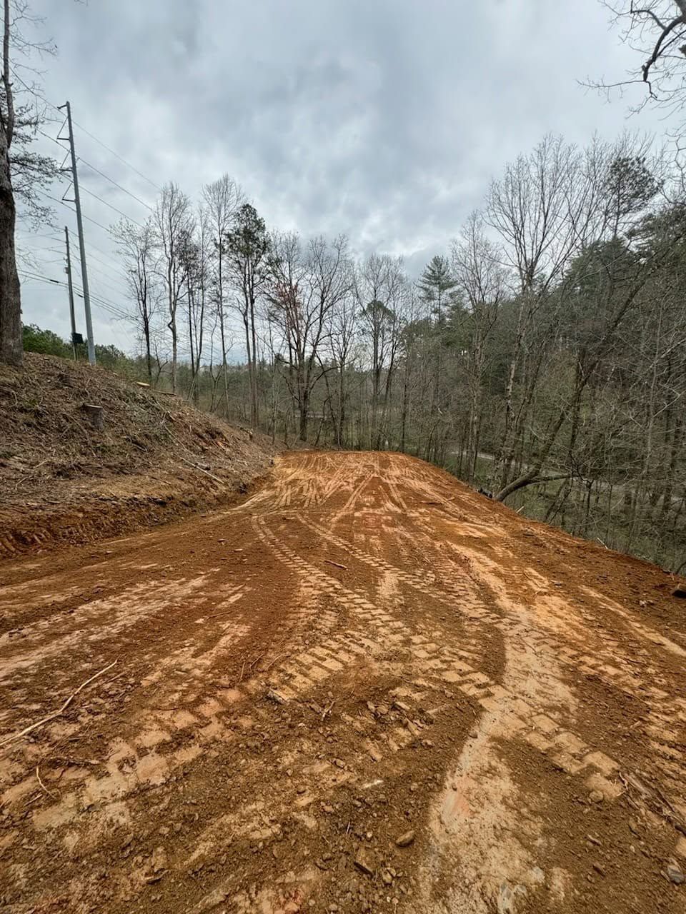 Muddy dirt road curving through a wooded hillside under a cloudy sky