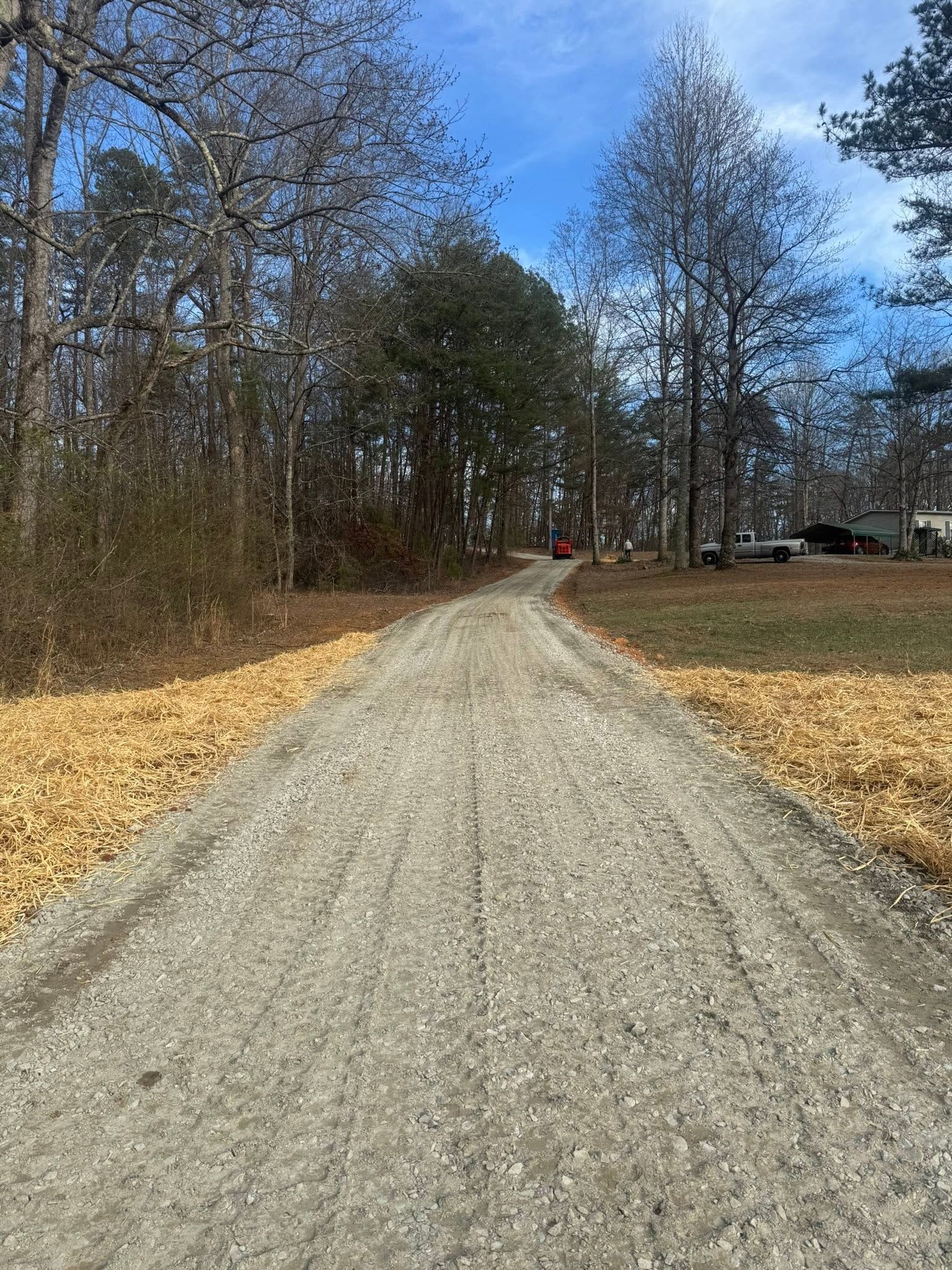 Gravel path through leafless trees under a clear blue sky, with a small red object in the distance
