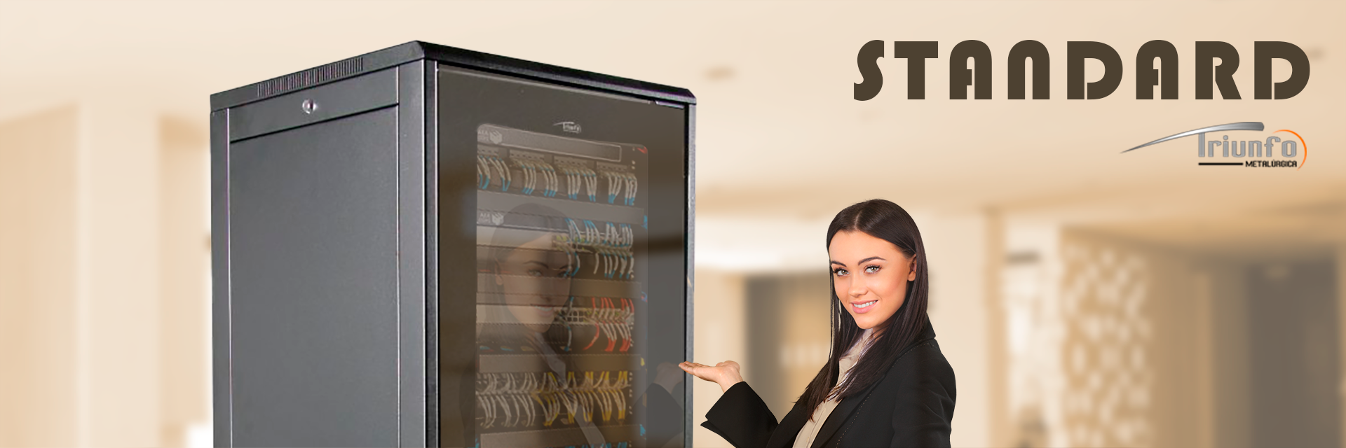 Rack Telecom Standard 19