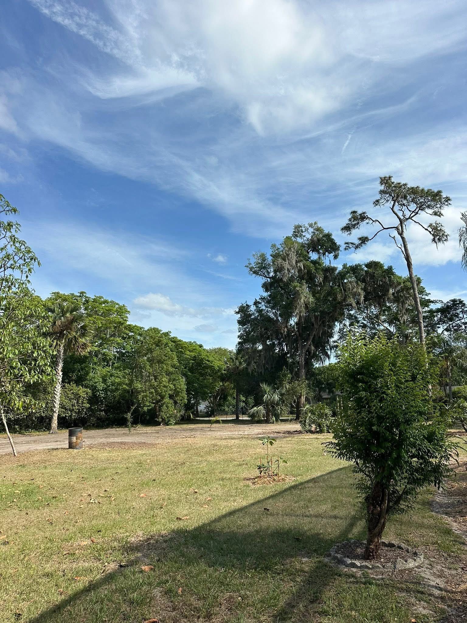 Lawn Maintenance