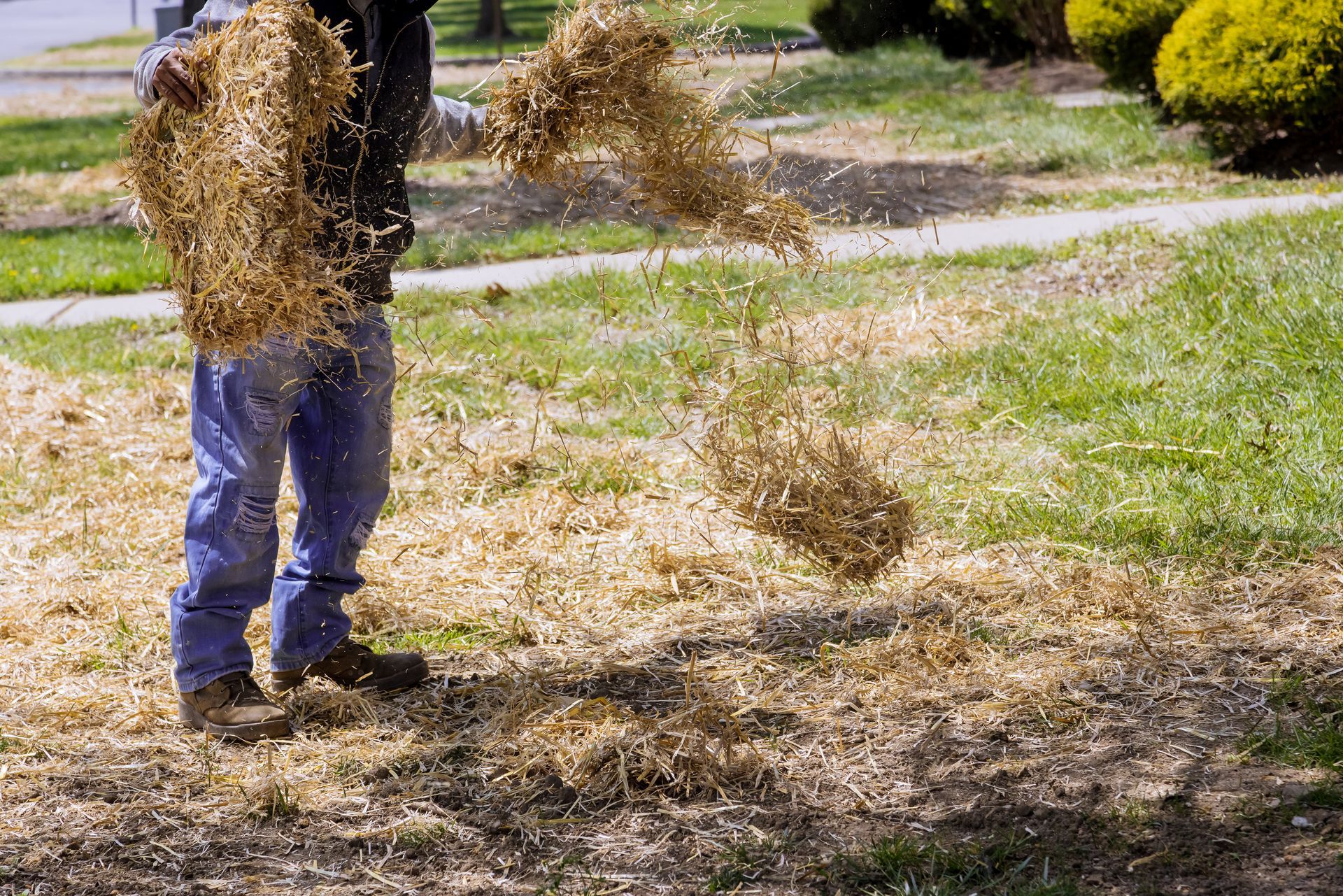 Mulching Services