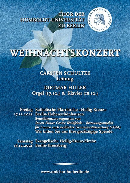 Ein blaues Poster mit einem weißen Weihnachtsstern darauf