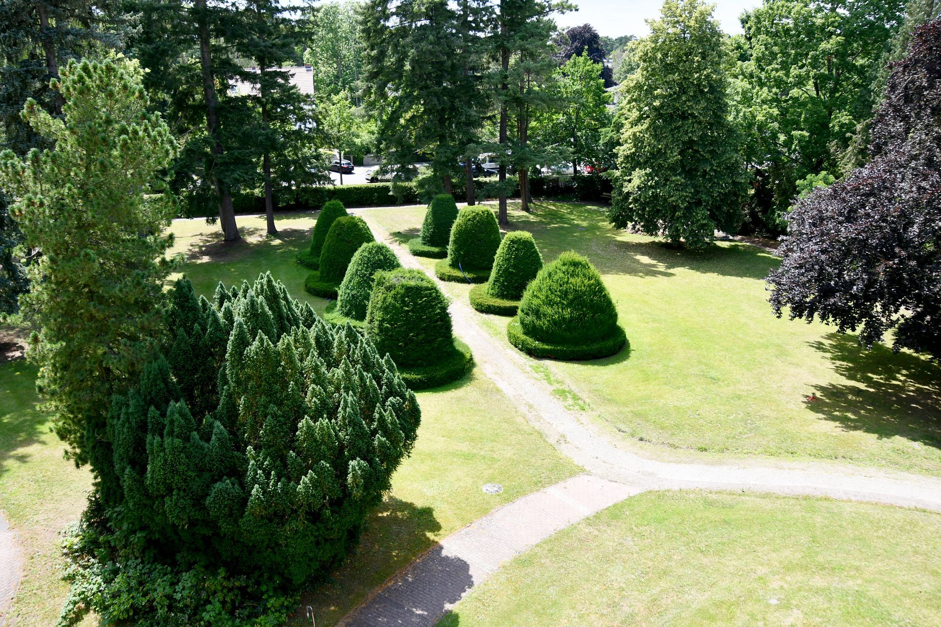 Eine Luftaufnahme eines Parks mit Bäumen und Sträuchern