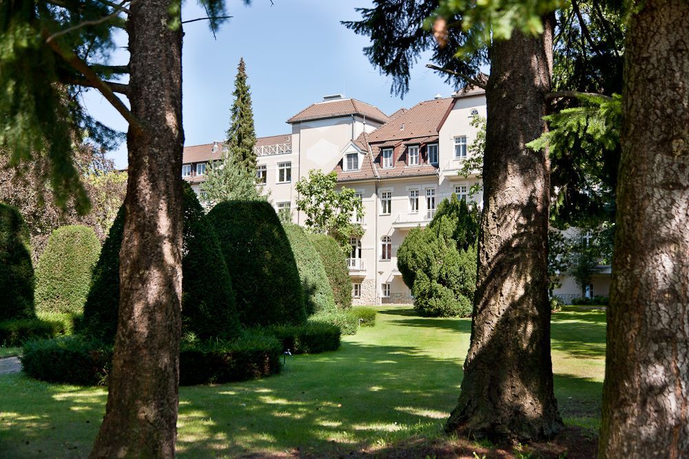 Durch die Bäume in einem Park ist ein großes Gebäude sichtbar