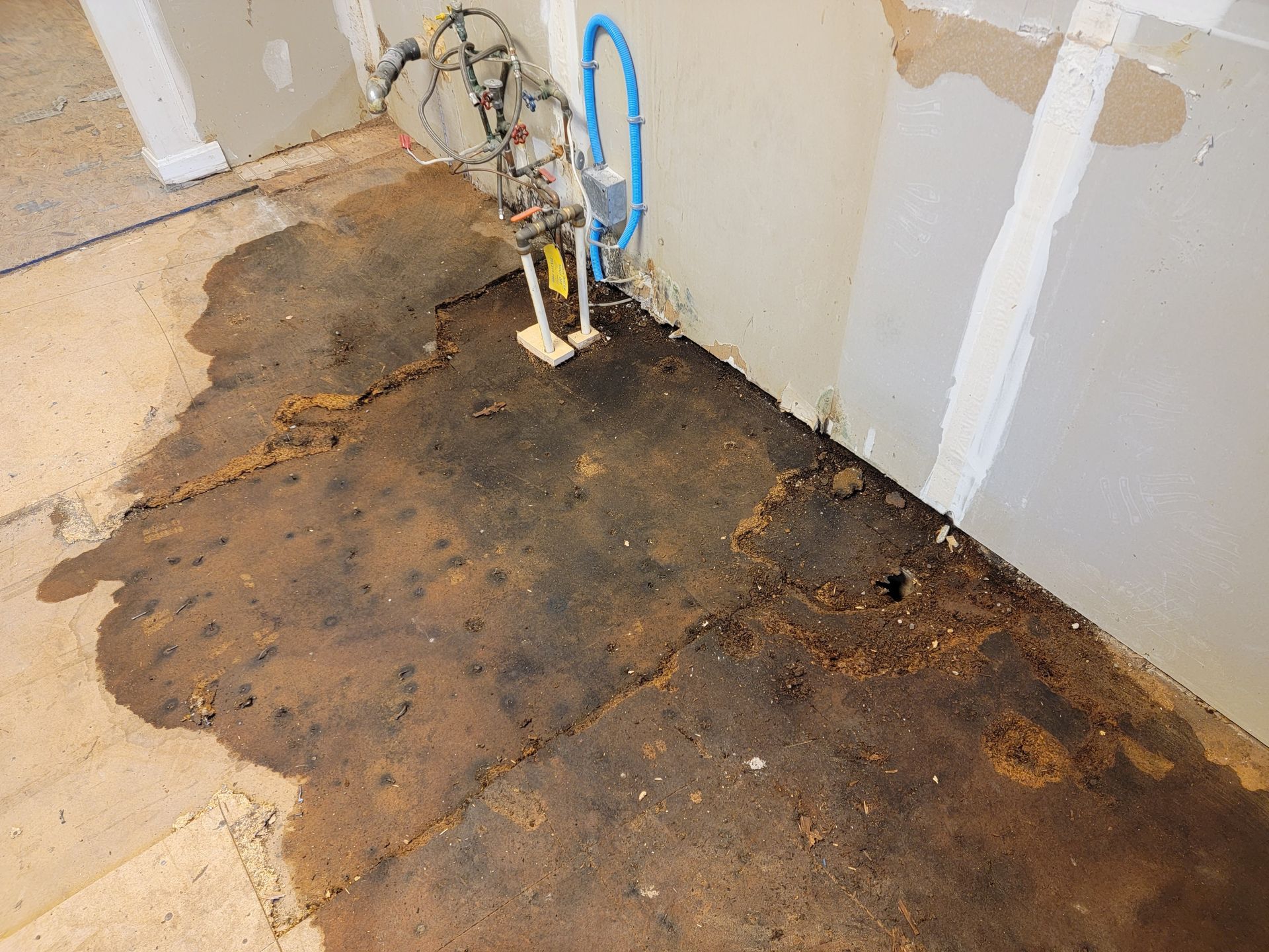 Damaged floor with dark water-stained carpet and exposed plumbing against a wall
