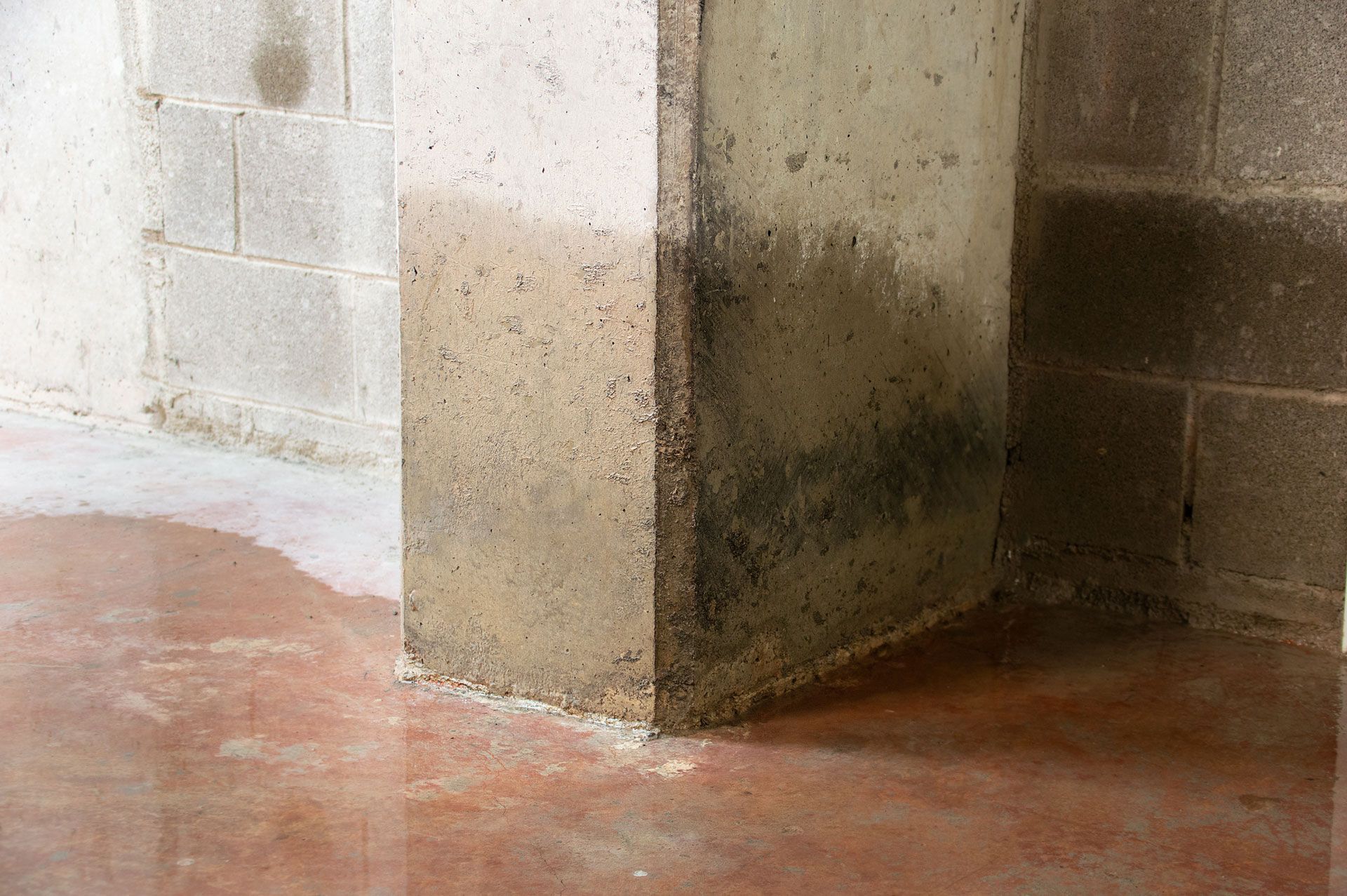 Moldy concrete corner in an unfinished basement with damp walls and a wet floor