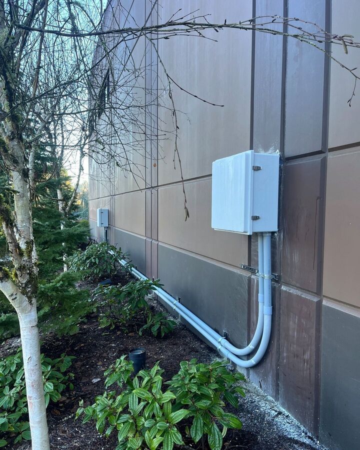 Exterior wall with white electrical box and conduit beside shrubs and a tree.