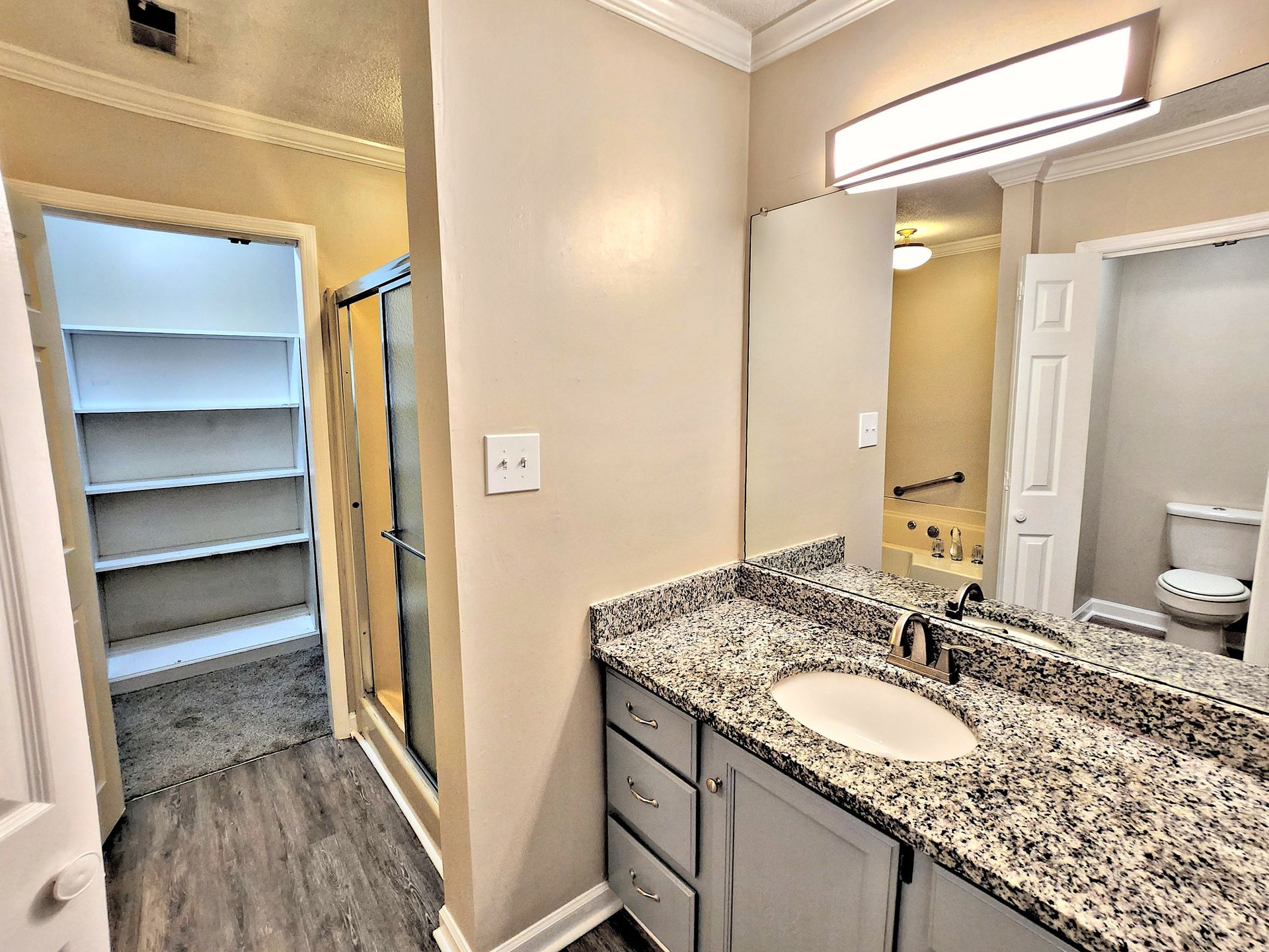 A bathroom with a sink , mirror , toilet and walk in closet.