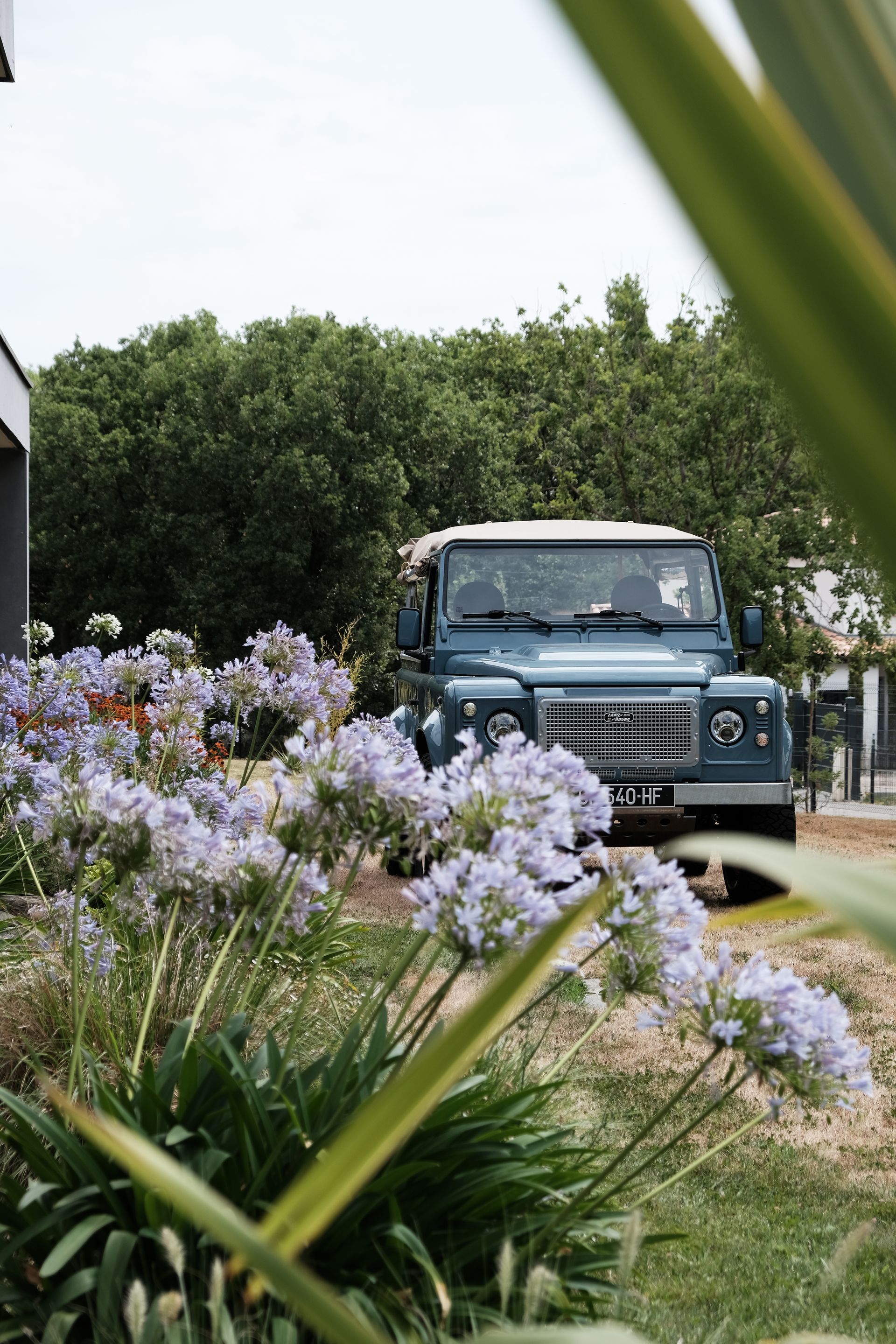Land Rover bleue garée près de fleurs violettes.