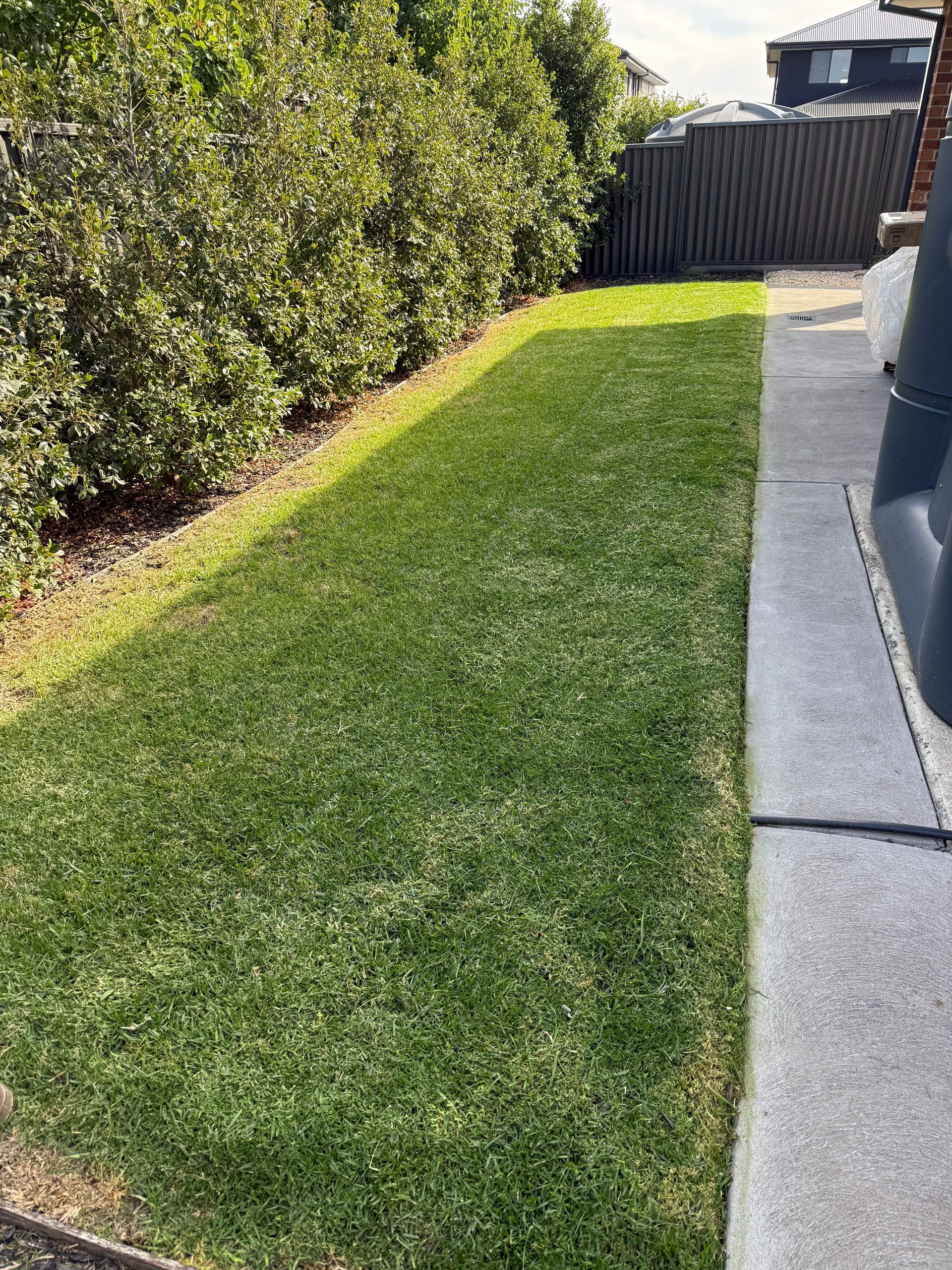 Nice lawn