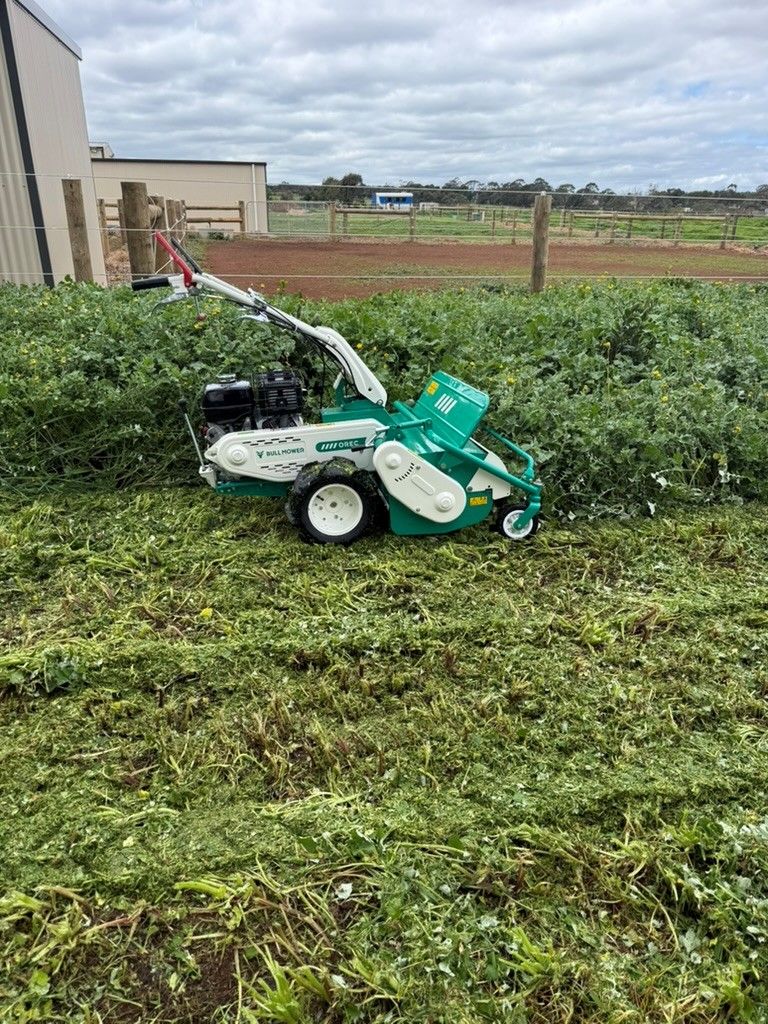 Cleared strip beside dense overgrown grass after flail mowing