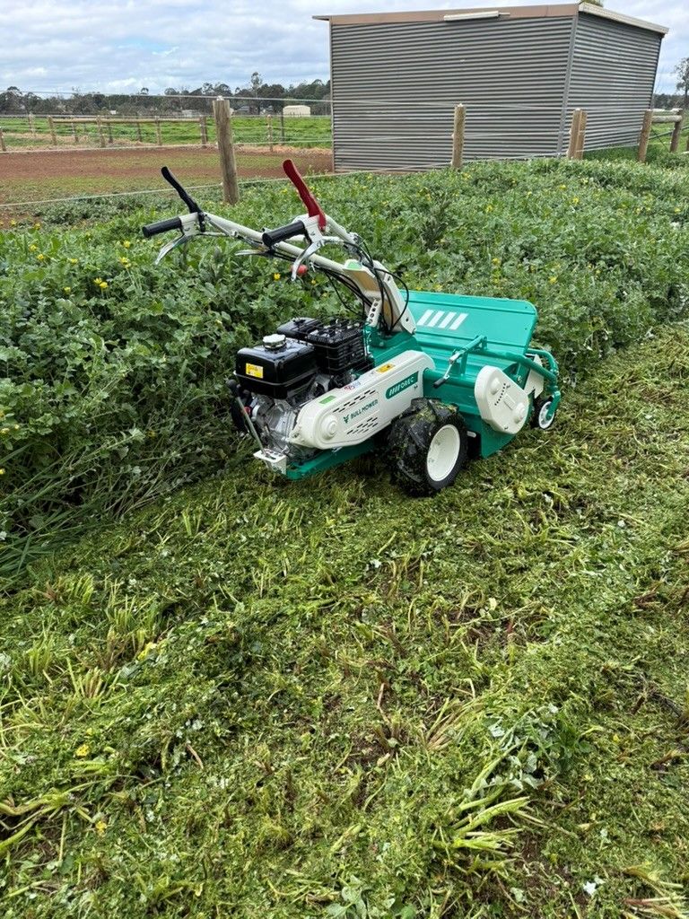 Flail mower cutting dense vegetation on an accessible block