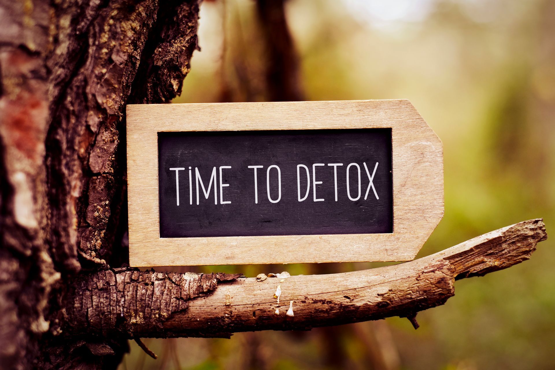 Wooden sign reading “TIME TO DETOX” beside a tree branch in a warm, blurred outdoor setting