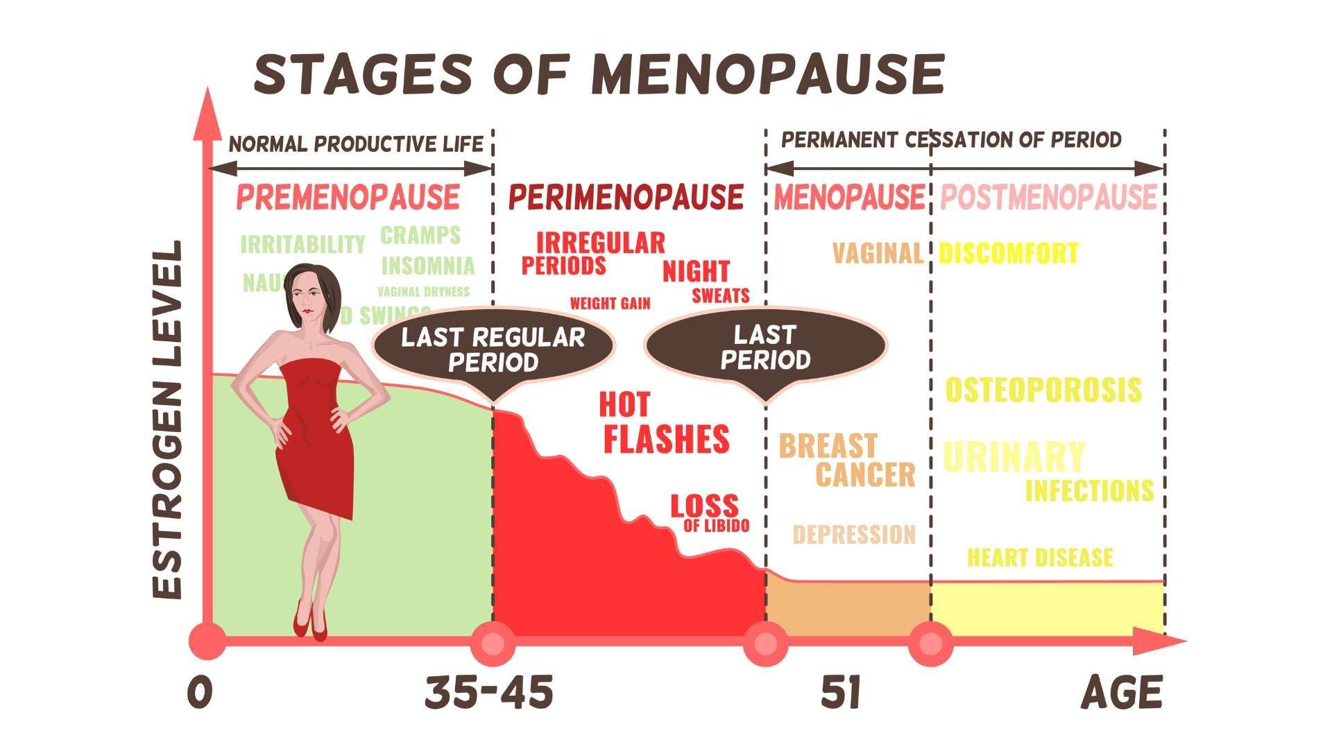 Chart of menopause stages showing estrogen levels, symptoms, and age timeline from 35 to 51+