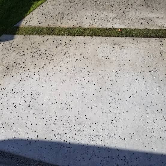 Sunny concrete walkway between a shed and house, with bushes and a clear blue sky.