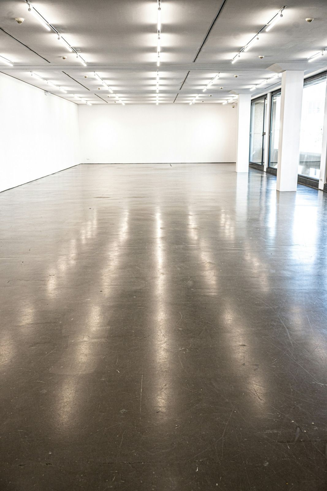 Empty modern room with polished concrete floor, white walls, and ceiling lights.