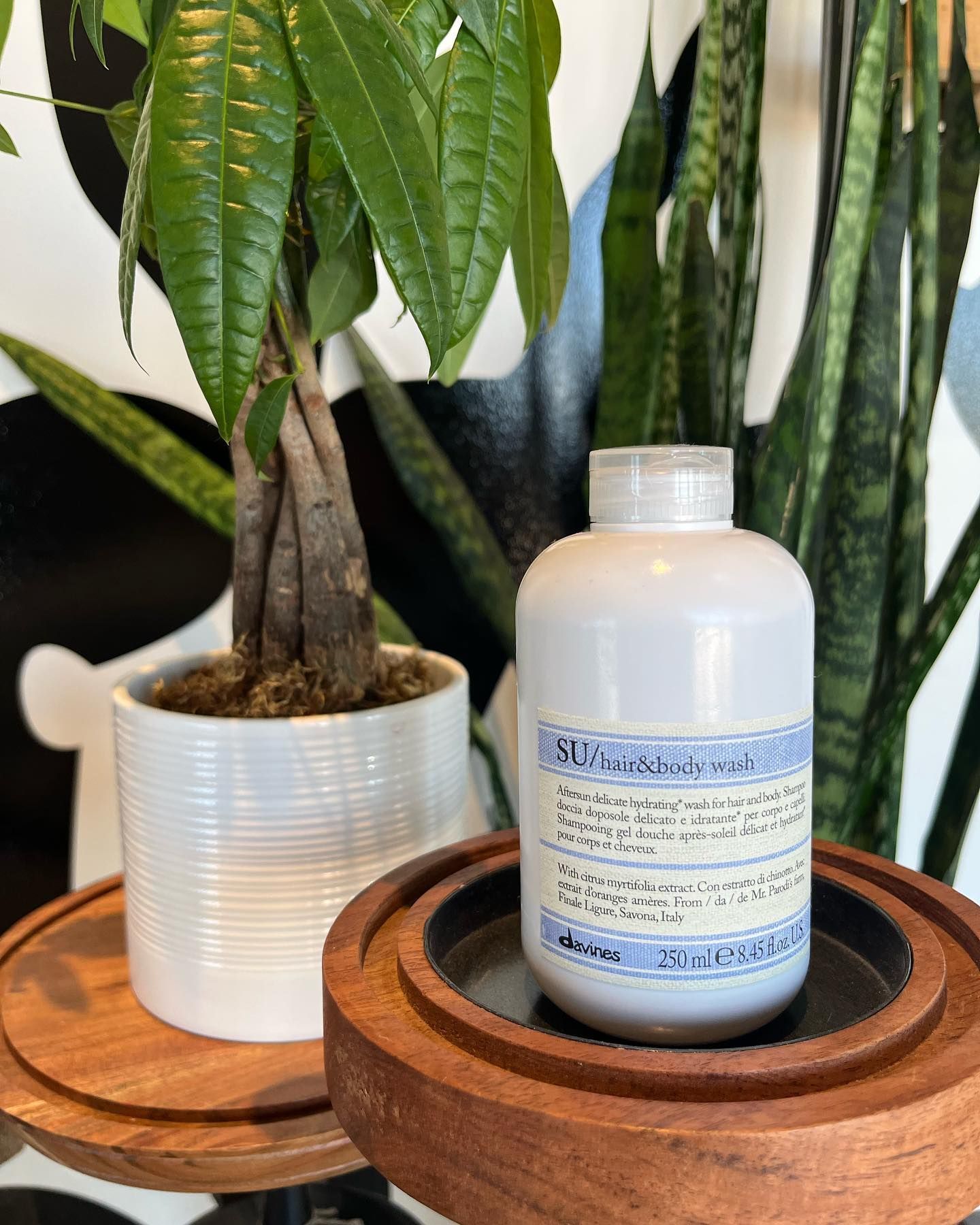 A bottle of liquid is sitting on a wooden tray next to a potted plant.