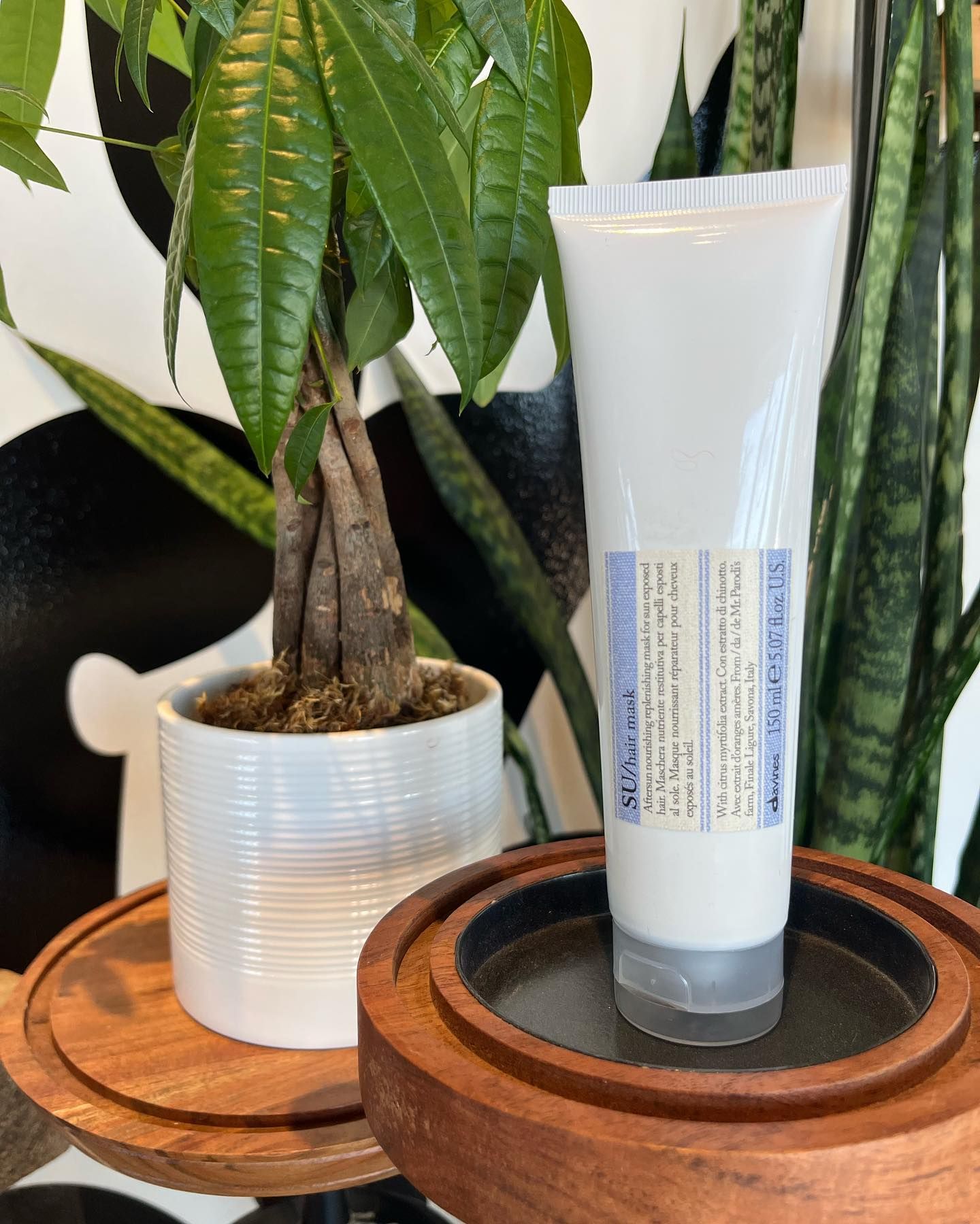 A tube of lotion is sitting on a wooden shelf next to a potted plant.