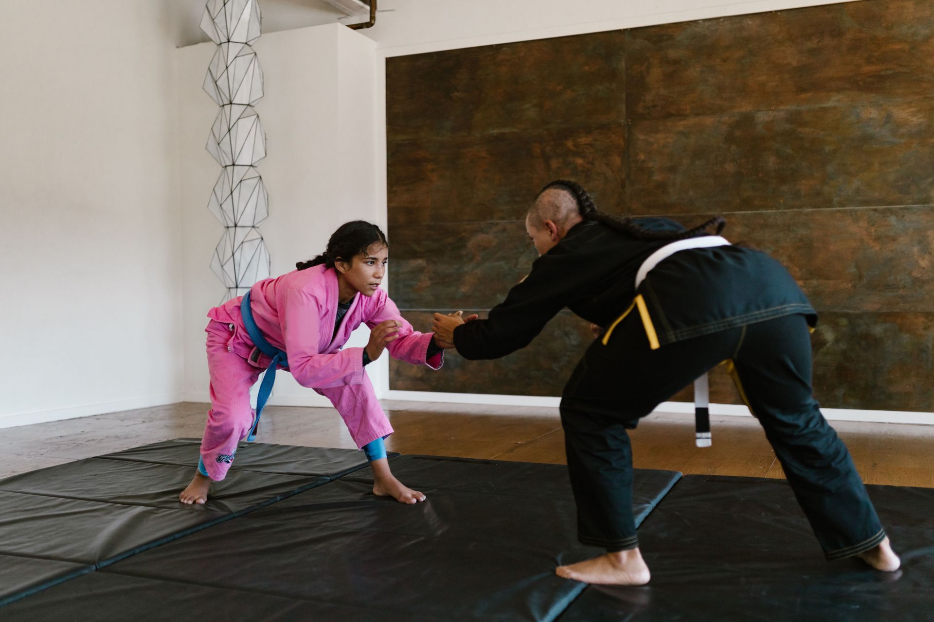 Best Jiu-Jitsu Programs in Garner, NC
