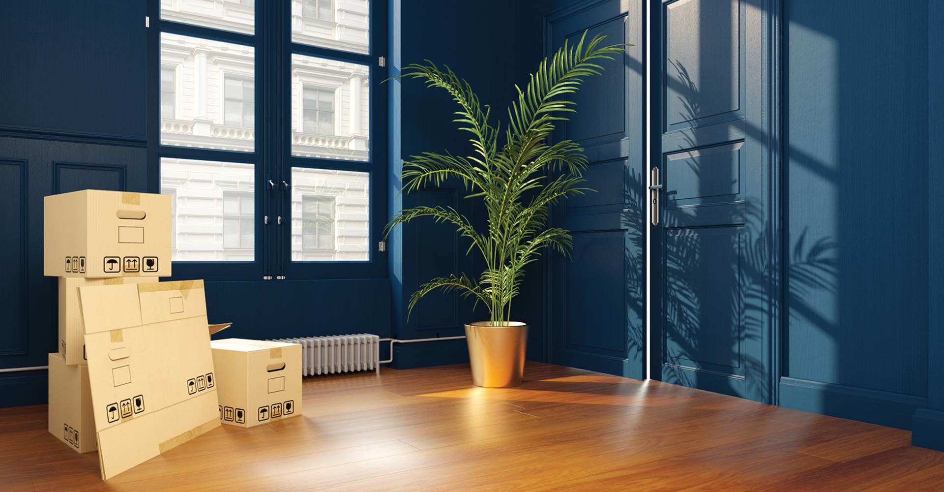 boxes with plants