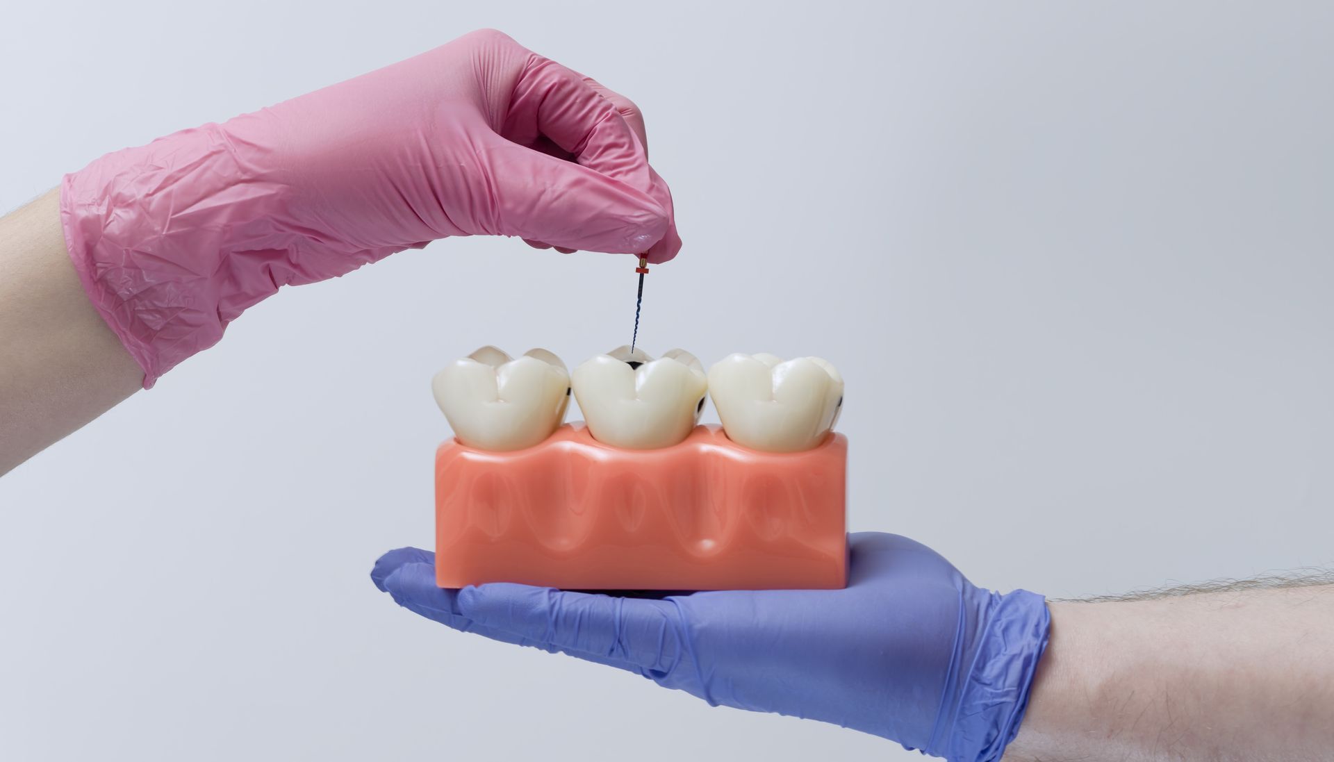 Gloved hands hold and probe a model of teeth and gums with a dental tool
